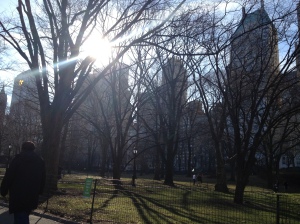 Central Park on a sunny Sunday